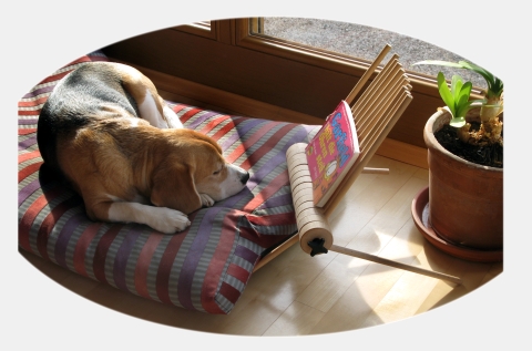 Buchablage/Buchst�nder f�r entspanntes "Lesen"